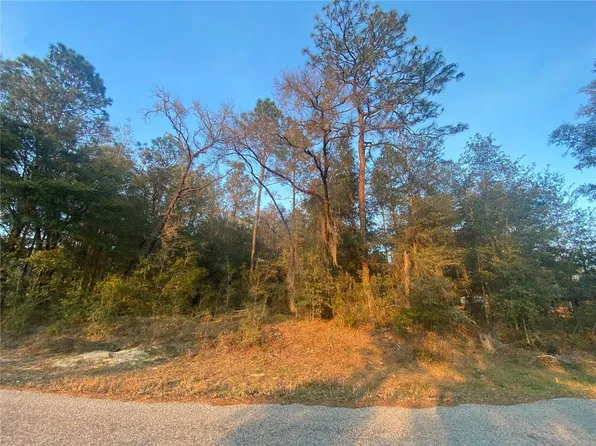 LOT 28 SW 206th Cir Lot 28, Dunnellon, FL 34431