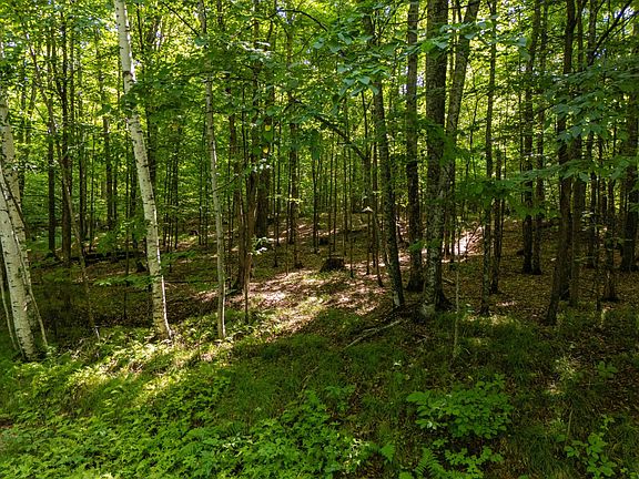 3rd image of LOT 7 Smoky Lake Dr