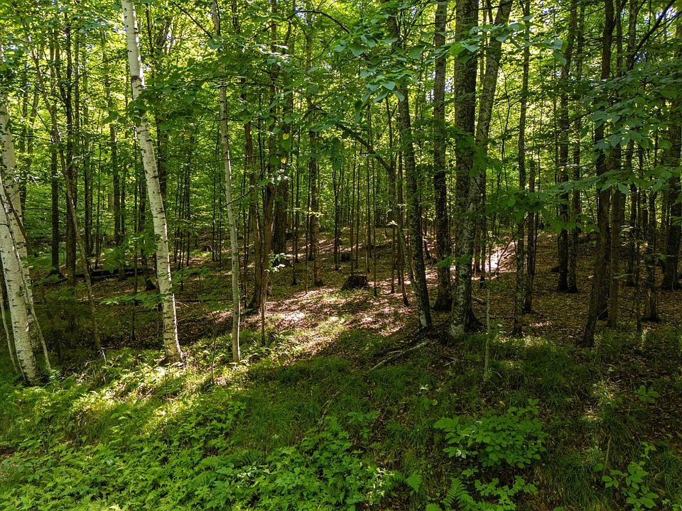1st image of LOT 6 Smoky Lake Dr