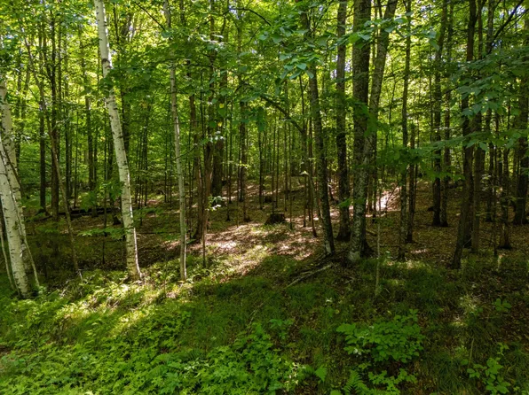 LOT 6 Smoky Lake Dr, Iron River, MI 49935