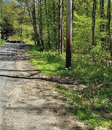 5th image of Park Dr