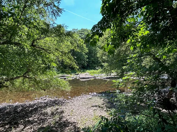 9 Duncans Lndg, Buckeye, WV 24924