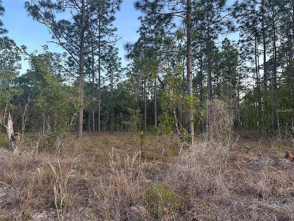 1st image of LOT 3 NW AMBERJACK AVE. LOT 3