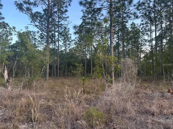 LOT 3 NW Amberjack Ave Lot 3, Dunnellon, FL 34431