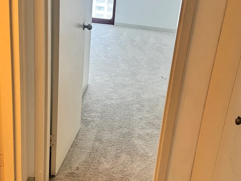 200 N Dearborn St #1503 — Photo 6