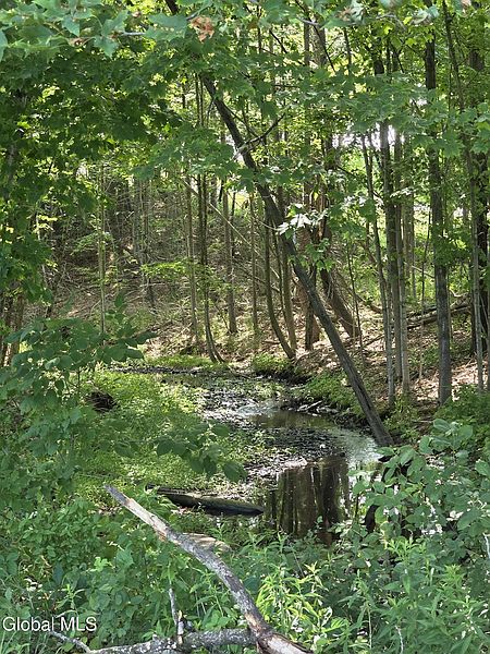 2nd image of 265 Longwoods Road