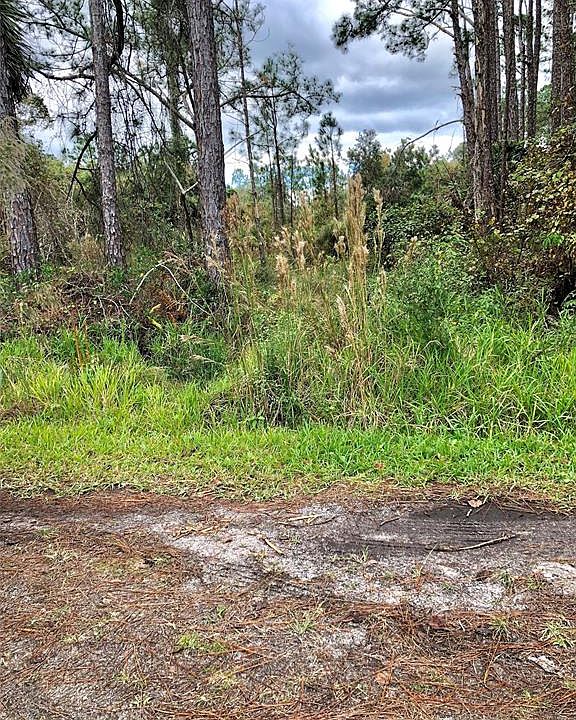 2nd image of 20 Plantation Rd