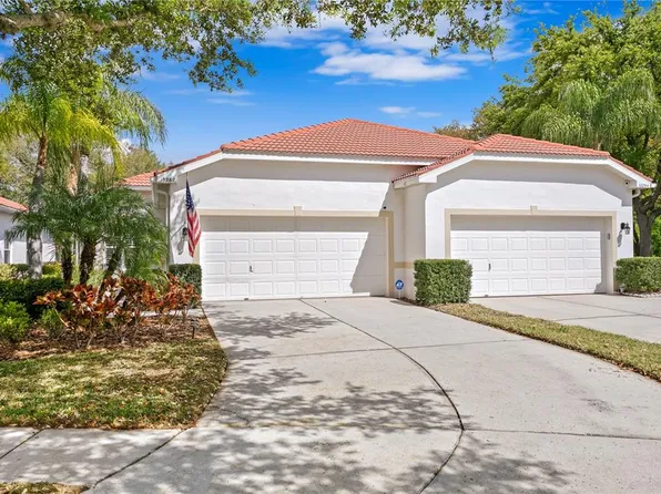 10262 Devonshire Lake Dr, Tampa, FL 33647