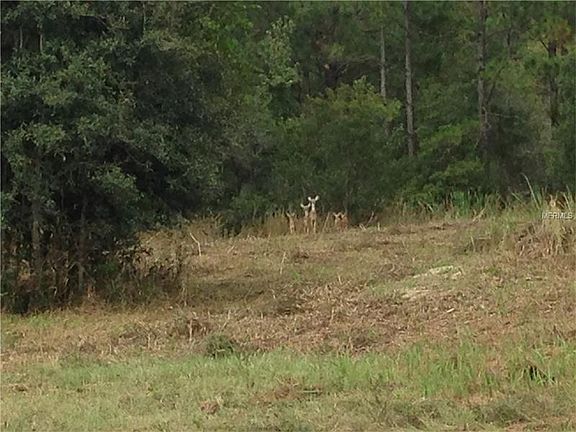 3rd image of Lot 65 Greengrove