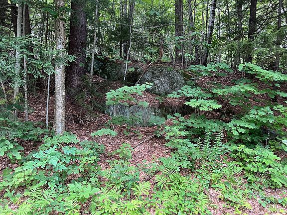 4th image of LOT 134 Shaw Rd