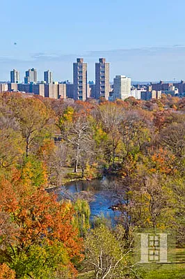 Rented by Halstead Real Estate | media 35