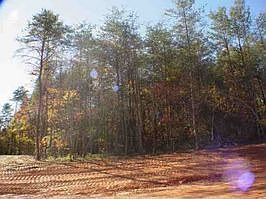 Home for Sale in Travelers Rest, South Carolina $40,500