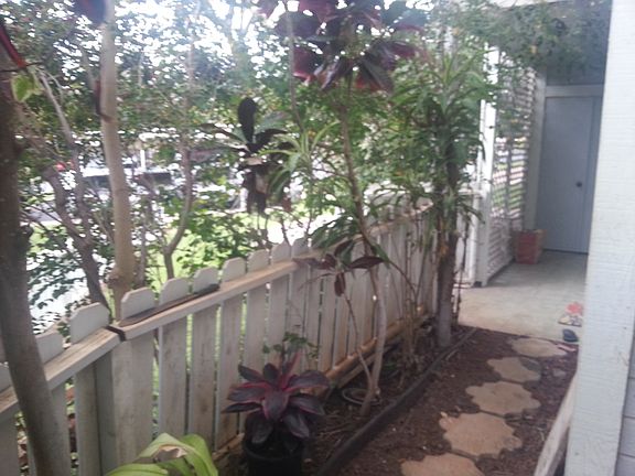 Front entry to yard path
