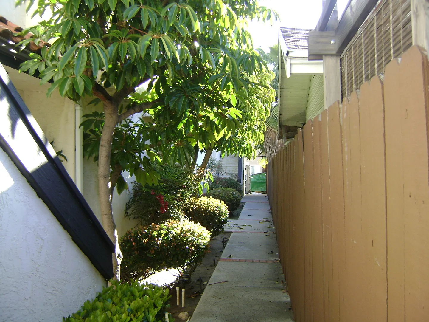 26 — Photo 4