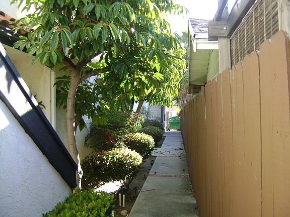 4th image of 4465 Mississippi St APT 7