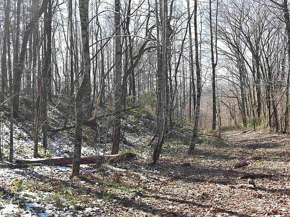 5th image of 0 Arlie Neely Rd