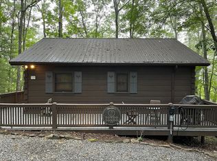 319 Laurel Creek Rd, Blue ridge, GA 30513