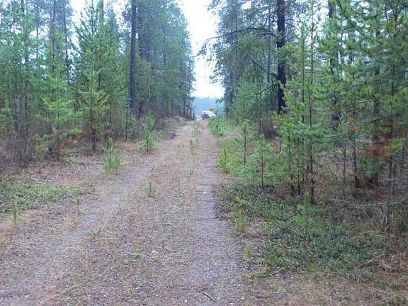 3rd image of 11335 State Highway 2 E