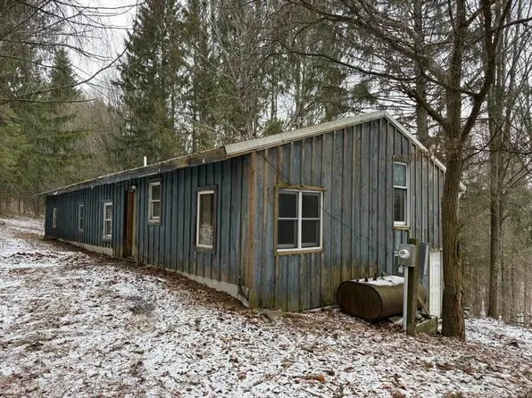 184 Campbell Hill Rd, Owego, NY 13827