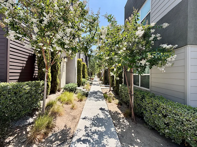 10519 Wilding Dr — Photo 2