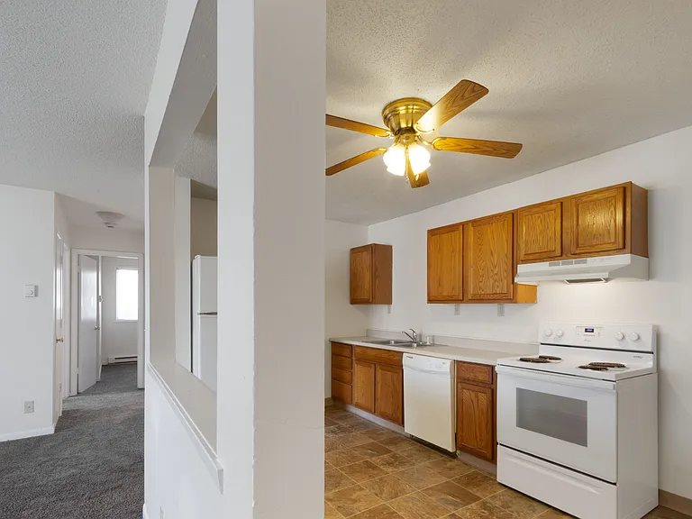 Classic kitchen with dishwasher