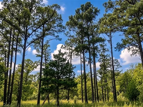 Modock Dr, Bastrop, TX 78602