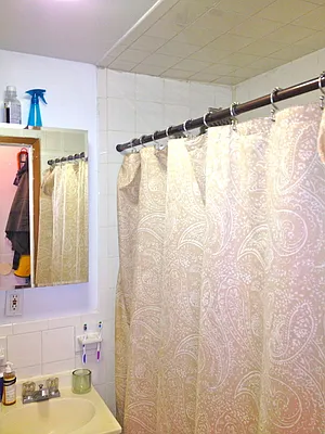 Rented by Rapid Realty Cobble Hill | media 18