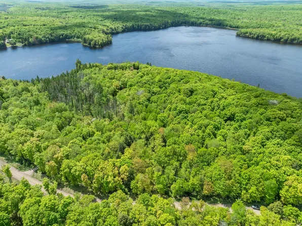 Lot 25 HOMAN LAKE RD, Iron River Town, MI 49935