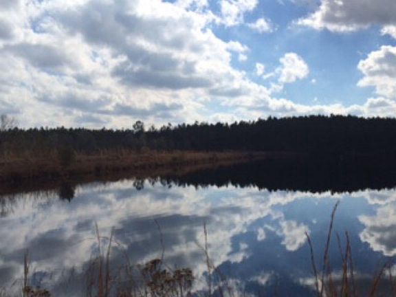 2nd image of 0 Millcreek Road