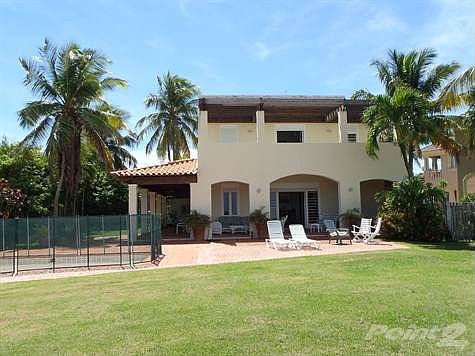 BACK OF THE HOUSE