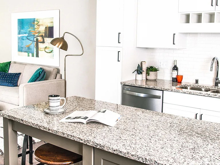 One-Bedroom Apartment Kitchen and Living Room