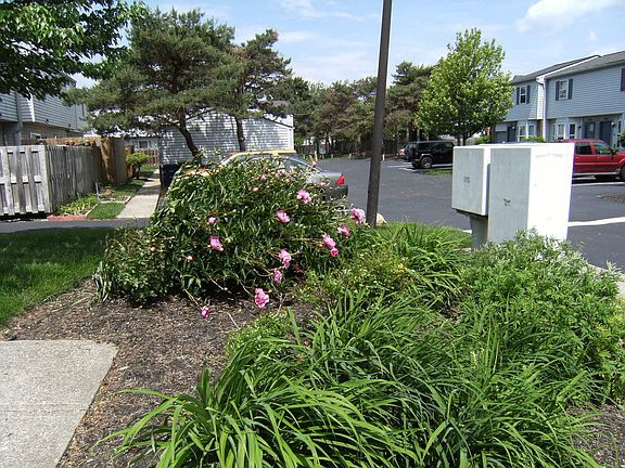 3rd image of 1080 Worthington Woods Blvd