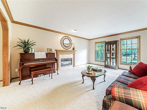 5th image of 528 Danbury Ln