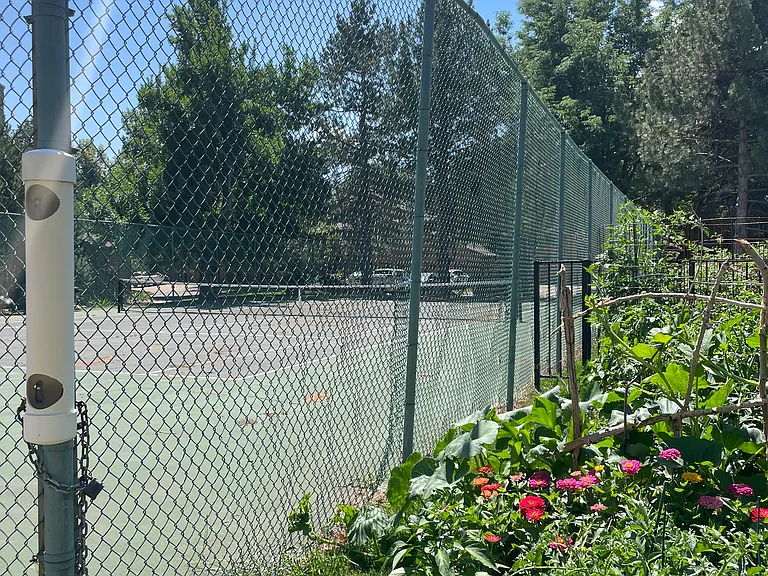 Tennis court