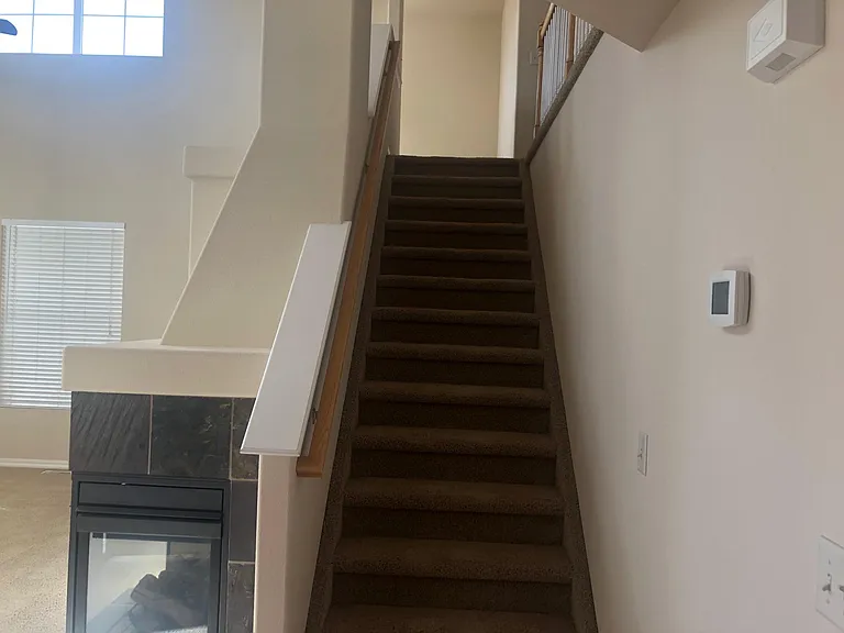 4217 Ashby Field Dr — Photo 15