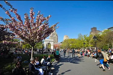 Rented by Jonis Realty