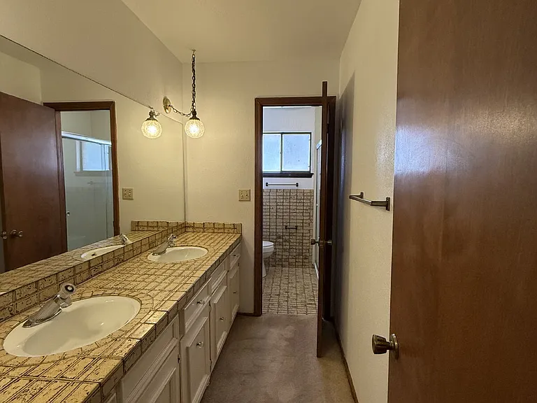 1709 Bruce Devlin Dr — Photo 23