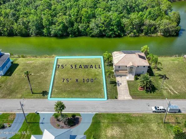3520 Jewfish Dr, Spring Hill, FL 34607