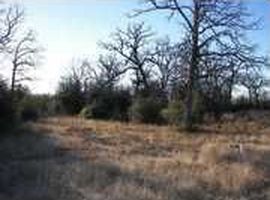 17236 Cedar Rock Ct, College Station, TX, 77845