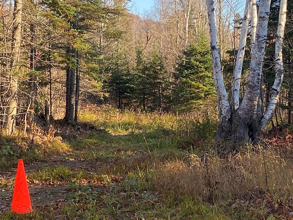 2nd image of 5121 Mount Rockwood Rd
