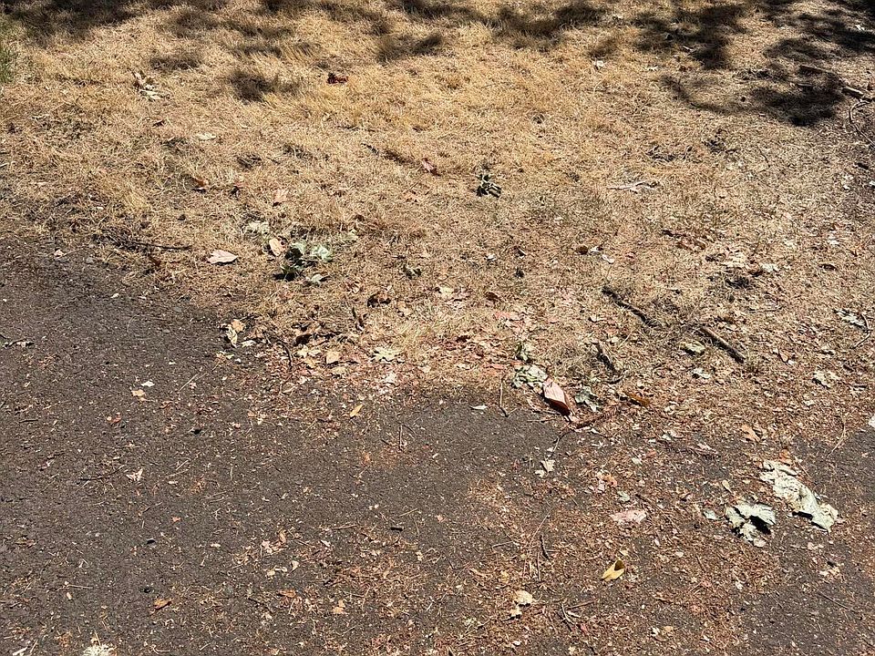 2nd image of Camp Baker Rd