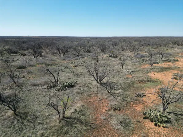 Prairie, Merkel, TX 79536