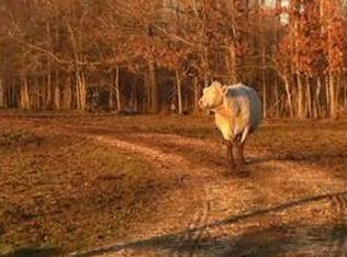 1165 Wood Hill Rd, Jackson, TN 38305