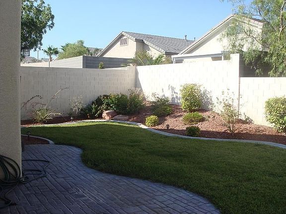 Back yard