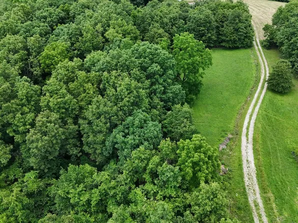 Tract 2 Green Hill Road, Fordland, MO 65652