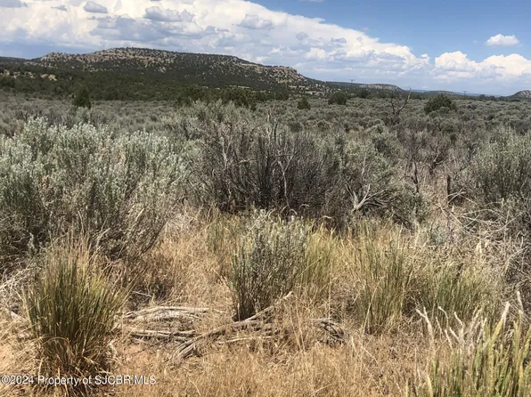 LOT 76 State Highway 511, Navajo Dam, NM 87419