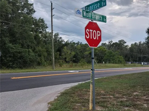 PARK FOREST BOULEVARD, MOUNT DORA, FL 32757
