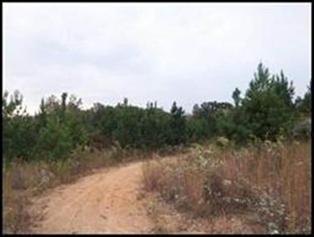 1st image of 0 County Road 226 Lot S-16