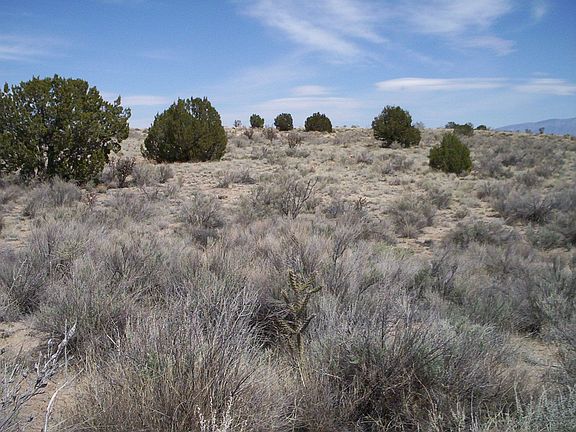 Unit22Block24Lot24#2