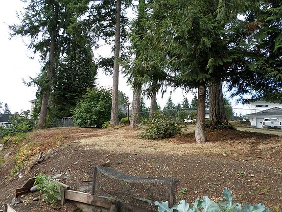 3rd image of 18808 52nd St E